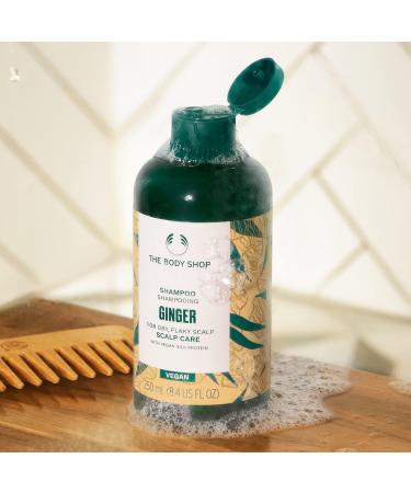 Ginger Scalp Care Shampoo for Dry Flaky Scalp - Vegan Silk Protein - 250ml + Free B Lip Scrub ($7 Value) - International Shipping Available - Buy Online on GoSupps.com