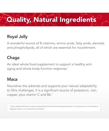 Physician's Strength Potent-B - 14.10 oz - Whole Food B Vitamins to Energize The Body - Non-GMO - 28 Servings - Buy Online on GoSupps.com