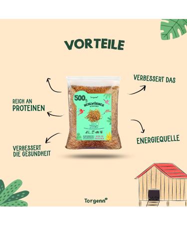 Torgenn Mealworms 500g | Nutrient-Rich Food for Wild Birds Fish & Turtles | 100% Natural & GVO-Free | Dried Mealworms for Pets - Buy Online on GoSupps.com