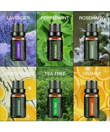 Essential Oils Gift Set - 6 Pure Aromatherapy Oils (Rosemary Lavender Lemon Grass Orange Peppermint Tea Tree) 10ML | International Shipping - Buy Online on GoSupps.com