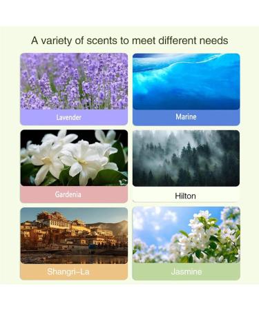 Automatic Essential Oil Diffuser with Digital Display - Jasmine Aroma Diffuser for Home | International Shipping Available - Buy Online on GoSupps.com