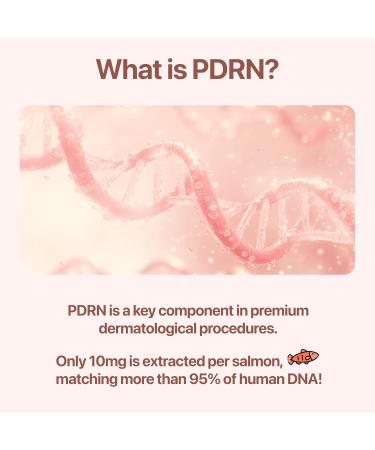 CU DR. SOLUTION PDRN Cream with Salmon DNA Ceramide NP Collagen Plant Based Bakuchiol Moisturizing Bifida and Hyaluronic CUSKIN Korean Skin Care PDRN Cream 50 ml (1.69 fl. oz.) - Buy Online on GoSupps.com