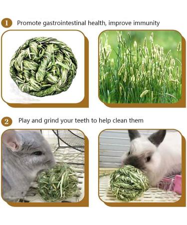 6pc Rabbit Chew Ball Timothy Grass Toys for Small Animals - Ideal for Bunny Rabbits, Hamsters, & Guinea Pigs - Buy Online on GoSupps.com