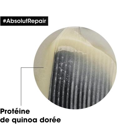 L'Or al Professionnel Paris L'Or al Professionnel Absolut Repair Large Routine Dry & Damaged Hair Repairing Shampoo Restructuring Mask Instantly Repairs Protects & Nourishes the Hair Fiber Expert Series - Buy Online on GoSupps.com