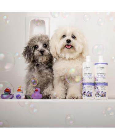 Isle of Dogs Keratin Volume Conditioner 16oz - MultiColor (830-16) - Buy Online on GoSupps.com