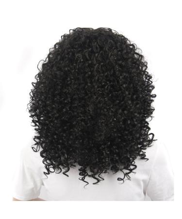 Curly Hair Wigs for Black Women - Natural Kinky Afro Wigs Lace Front & Synthetic Options - Buy Online on GoSupps.com