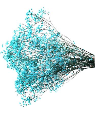 2pcs Plant Decor Gifts Dried Flowers The Gift Dried Flower Decor Creative Preserved Flower Preserved Flower Decor Romantic Preserved Flower Artificial Gypsophila Bluex2pcs 60X20cmx2pcs - Buy Online on GoSupps.com