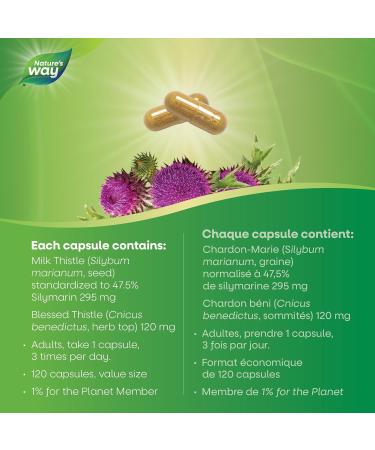 Nature's Way Milk Thistle / 120 Veg Caps - Buy Online on GoSupps.com