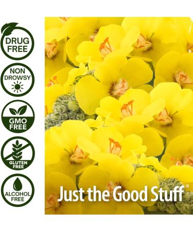 Nature's Answer Mullein-X Kids Cough Syrup 4oz | Soothes Coughs Clears Mucus & Supports Respiratory Health | Non-GMO Gluten-Free Natural Honey Flavor - Buy Online on GoSupps.com