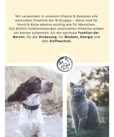 Premium Vitamin B Complex for Dogs & Cats - 120 High-Dose Tablets for 4 Months | Essential B Vitamins & Selenium Supplement - Buy Online on GoSupps.com