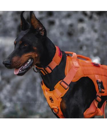 Oneigris No-Pull Dog Harness - Adjustable Aire Mesh Comfort Vest for Large/Medium Dogs | Ultra Breathable & Safe with 2 Handles - Size M (Neck: 40-58cm Breast: 60-81cm) - Orange - Buy Online on GoSupps.com
