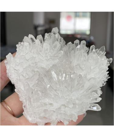 Natural Crystal Rough Natural Clear Quartz Crystal Cluster Minerals Reiki Stone Home Furnishing Decoration Decoration Natural Luster (Size : 300-400g) - Buy Online on GoSupps.com