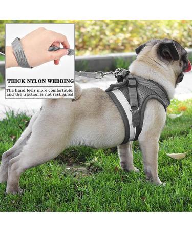 DARENYI Small Dog Harness Set | Adjustable Puppy Vest Harness with Mesh | No Pull Design | Includes 1.2m Lead | Size M Grey - Buy Online on GoSupps.com