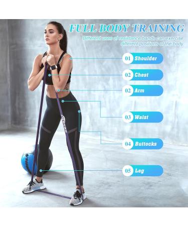 High-Quality Resistance Bands for Strength Training & Body Stretching Pull Up Assistance Bands in Yellow Red Black & Purple | Shop Now - Buy Online on GoSupps.com