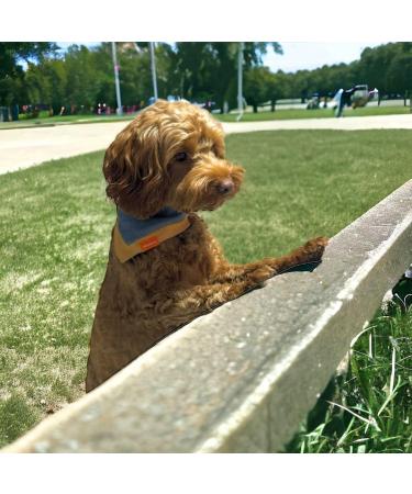 MUDLESS Dog Bandana Pet Scarf - Medium AquaBlaze Neckerchief for Comfort and Breathability - Buy Online on GoSupps.com