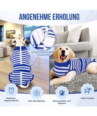 Eyein Dogebody After Op - Breathable Soft One-Piece for Dogs | Wound Protection Zip & Belt | E-Neck Band Alternative (Blue XS) - Buy Online on GoSupps.com