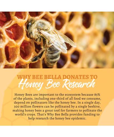 Bee Bella Lip Balm Combo Pack - Hydrating Lip Care 100% Natural Organic Beeswax with Vitamin E Handmade in USA 3 Each (Peppermint Unscented 6 Pack) - Buy Online on GoSupps.com