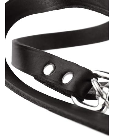 HUNTER Adjustable Leather Dog Leash - Durable & Supple 2.0 x 200 cm Black | International Shipping - Buy Online on GoSupps.com