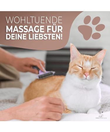 Pretty PAW Cat Brush - Gentle Hair Removal for Long & Short Hair Cats | Lavender Massage Brush for Soft Undercoat - Buy Online on GoSupps.com