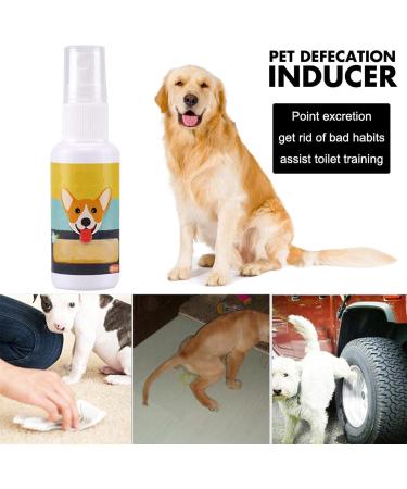 Ardorman Dog Training Spray | Pet Toilet Training Aid | Puppy & Cat Indoor Training Solution - Buy Online on GoSupps.com