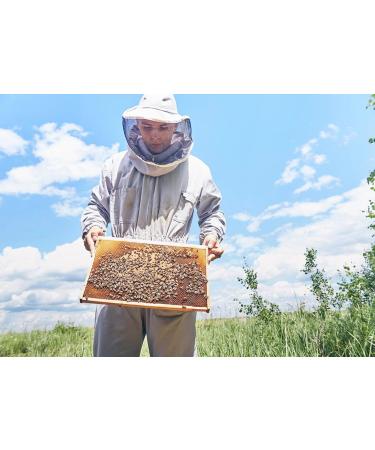 Pure heather honey. Pure bee honey. 100% natural bee honey. Handmade product of clean harvest. Intense aroma. Spanish honey. Dark mahogany honey with reddish tones. - Buy Online on GoSupps.com