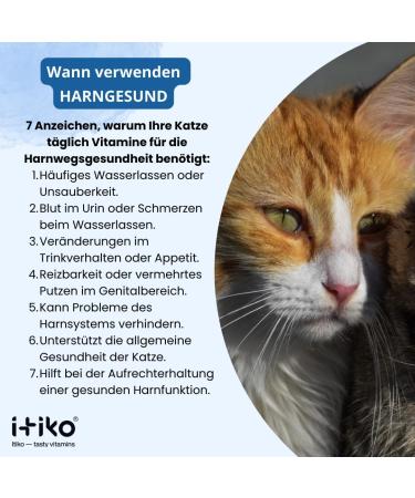 Itiko Urinary Cat Food - Wet Dietary Supplements for Urinary Tract Health & Low pH | Cranberries Rosemary & Sodium Chloride - Buy Online on GoSupps.com