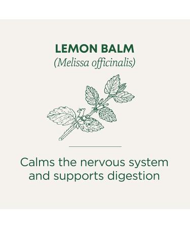 Traditional Medicinals Organic Lemon Balm Herbal Tea - Calming, Digestive Support - 16 Tea Bags - Buy Online on GoSupps.com