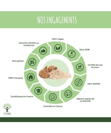 Maca Bio - Bioptimal - En Poudre - Racine de Maca Jaune du P rou - Energie Libido Sexualit Fertilit Homme Femme - Qualit Premium - 100% Pur - Conditionn en France - Certifi Ecocert - 100 g 100 g (Lot de 1) - Buy Online on GoSupps.com