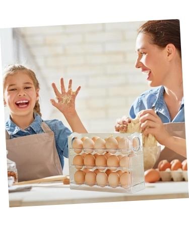 PRETYZOOM Egg Storage Box Eggs Egg Holder for Fridge Egg Container for Refrigerator Egg Tray Egg Box Dedicated 25.2X19.5CM As Shown - Buy Online on GoSupps.com