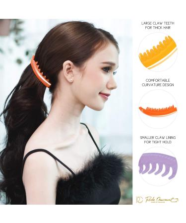 RC Roch 6 Colorful Multifolitis Hair Canvasse - High-Quality Volume Boosting Hair Accessories for Women | 6-Piece Set - Buy Online on GoSupps.com