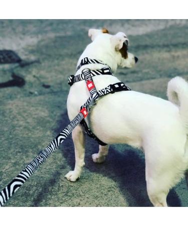 Max & Molly Zebra H-Dishes - Stylish & Durable Pet Bowls for International Shipping - Buy Online on GoSupps.com