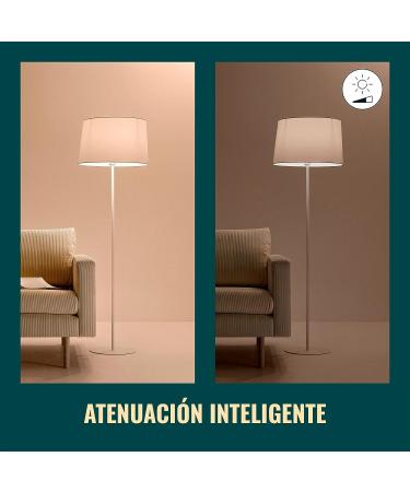 WiZ Connected Daylight High 1600 Lumen 100W A21 Smart WiFi Light Bulb  Dimmable 5000K  Compatible with Alexa and Google Home Assistant  No Hub Required  1 Bulb A21 Daylight (5000k) 1 Count (Pack of 1) - Buy Online on GoSupps.com