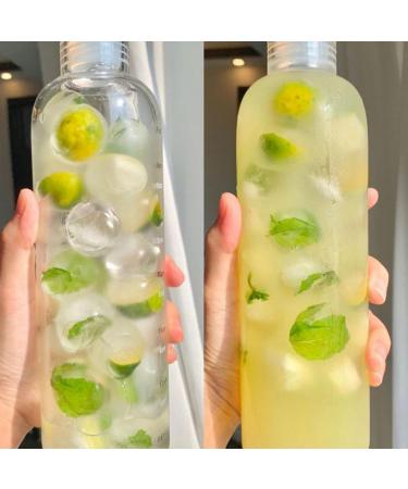 Mint Green Orange Lemon Tea Brewed no-boil Fruit Tea Fruit tea individual small package (100g/ box) - Buy Online on GoSupps.com