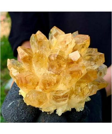 Natural Crystal Rough Crystal Cluster Yellow Phantom Quartz Crystal Cluster Home Office Decoration (Size : 180-240g) - Buy Online on GoSupps.com