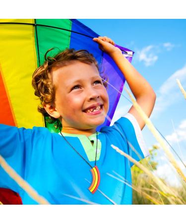 Seeway Kau-Halkette: Rainbow Bridge Silicone Chewing Ring for Autism Pain Relief & Biting Needs Ideal for Kids with Aching Gums - Buy Online on GoSupps.com