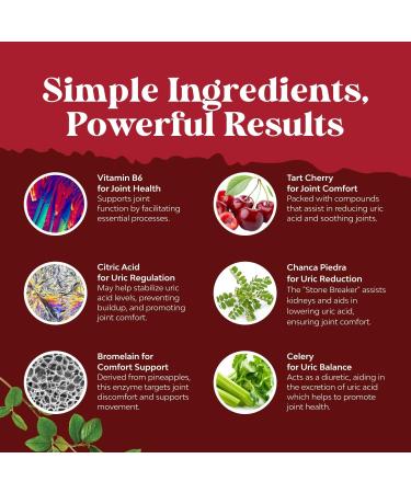 Bundle of Uric Acid Cleanse & Detox - Green Coffee Beans with Turmeric Tart Cherry & Celery Seed for Kidney Cleanser and Apple Cider Vinegar Gummies with Mother with B12 Vitamin B6 & Pomegranate - Buy Online on GoSupps.com