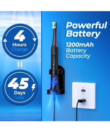 TEETHEORY Upgraded Sonic Electric Toothbrush for Adults | 10 Brush Heads, 40000 VPM, 3 Modes - Black - Buy Online on GoSupps.com