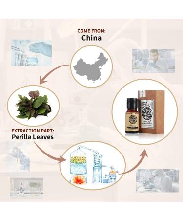 Buy AKARZ Perilla Essential Oil 10ml - Organic Natural Oil for Skin Hair Diffuser Candle DIY & Massage Care - International Shipping - Buy Online on GoSupps.com