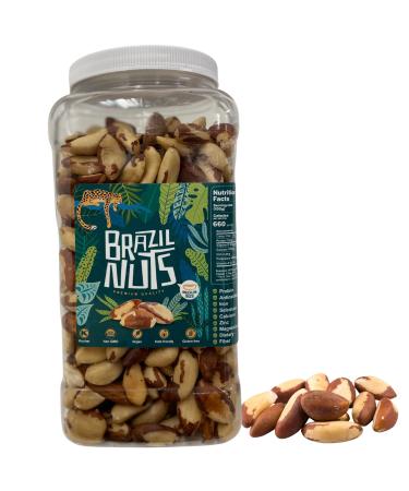 THE AMISH ECO-FARM | Medium Brazil Nuts | Raw and Fresh 2.5 lb Jar