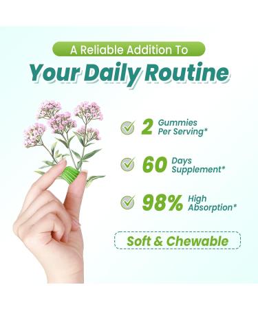 2 Pack Organic Valerian Root Gummies Natural Calm to Help Relaxation Herbal Supplement for Mood Support Melatonin Free Non-GMO Gluten Free Vegan Green Grape Flavor 120 Count 60 Count (Pack of 2) - Buy Online on GoSupps.com