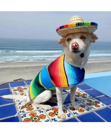 Kitatayi Mini Straw Sombrero Hat for Small Pets - Mexican Sombrero Party Hat for Dogs, Puppies, and Cats - Buy Online on GoSupps.com