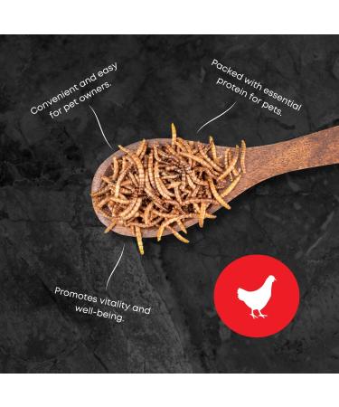 Premium Dried Mealworms & Fly Larvae Mix for Chickens and Wild Birds 5 LBS (2.25 KG) - Ma Poule Express - Buy Online on GoSupps.com