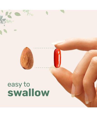 Micro Ingredients CoQ10 400mg Per Serving | 240 Softgels with Coconut MCT Oil | High Absorption Coenzyme Q10 as Ubiquinone | Antioxidant Support for Heart & Energy Health | Non-GMO - Buy Online on GoSupps.com