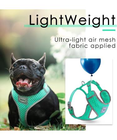 Thinkpet No-Pull Dog Harness & Leash Set - Breathable Adjustable Safe Control for Small Medium & Large Dogs - Reflective Padded Green L - Buy Online on GoSupps.com