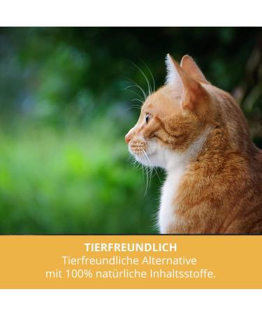 Sensiphar Echinacea Immune Booster Drops for Pets - Homeopathic Echinacea for Dogs Cats Birds & Rodents 100ml - Natural Pet Health Solution - Buy Online on GoSupps.com