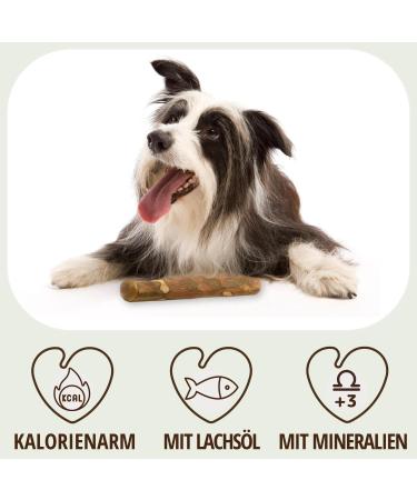 Petlove Olive Wood Dog Toy with Salmon Oil | Long-lasting Chewing Wood for Dental Care - Large Size (221-450g) - Buy Online on GoSupps.com
