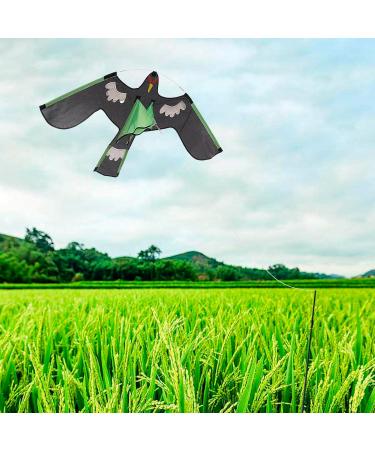 Shop Aizuoni Falcon Bird Dragons - Spring Reflective Birds for Global Shipping | Unique Decorative Art - Buy Online on GoSupps.com