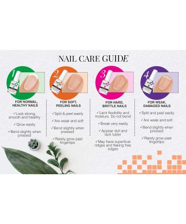 Nail Tek Foundation 2 Ridge Filling Base Coat 0.5 oz - Strengthen Soft & Peeling Nails - Buy Online on GoSupps.com