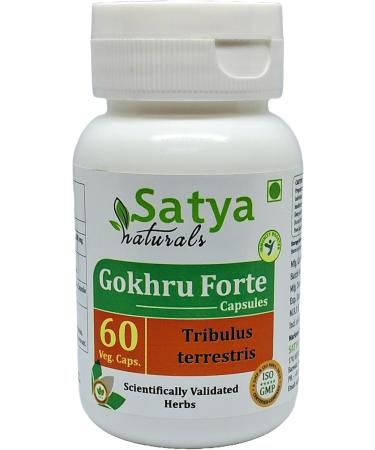 Gokhru Forte Capsules 500 mg. 60 Veg. Capsule | Gokharu (Tribulus Terrestris) Extract Capsules for Men and women | Ayurvedic Herbal Supplement/Remedies | 10:1 Forte (2 Bottles of 60 Capsules) - Buy Online on GoSupps.com