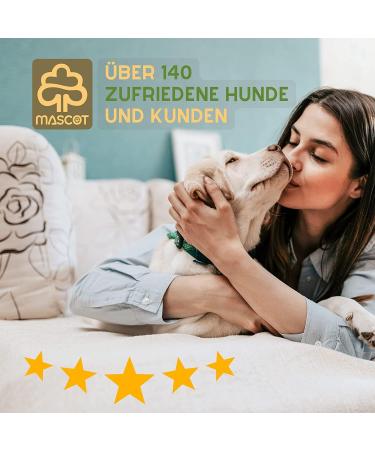 Buy Mascot Premium Dog Towel Duo - High Absorbency & Dirt Trapping - Perfect Fur Care - Compact Size 37x90 cm - International Shipping Available - Buy Online on GoSupps.com